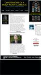 Mobile Screenshot of bornanewcatholic.com